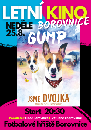 Letní kino Borovnice